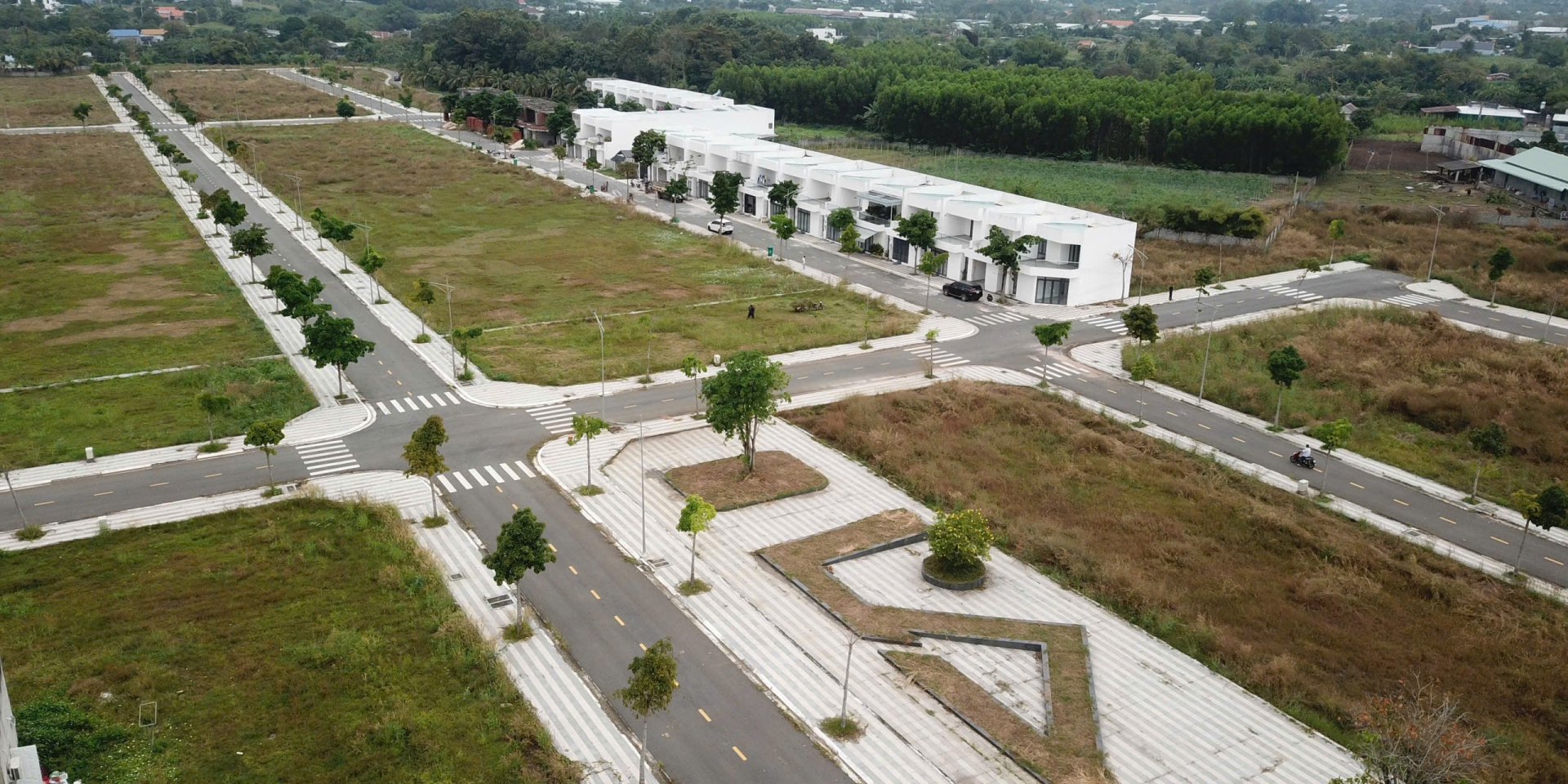 Lan Anh